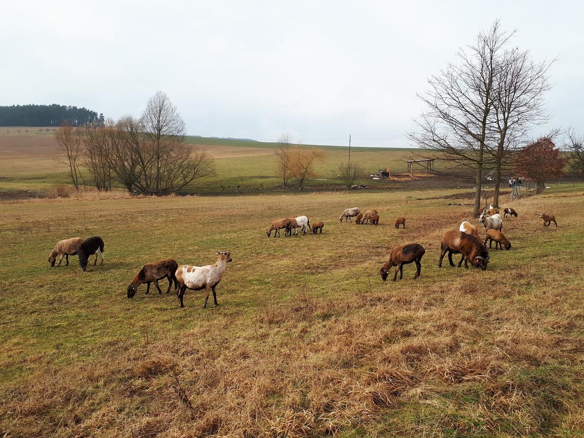Podkroví v Jihočeském Statku Nemejice Exteriér fotografie